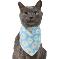 Frisco Daisy Dog & Cat Bandana -Cat Supplies 312303 PT2. AC SS1800 V1644883588