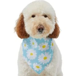 Frisco Daisy Dog & Cat Bandana -Cat Supplies 312303 PT3. AC SS1800 V1673302704