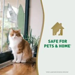 Nature's Miracle Cat Urine Destroyer Plus Enzymatic Stain Remover Foam Aerosol Spray, 17.5-oz Bottle -Cat Supplies 313854 PT7. AC SS1800 V1701116506