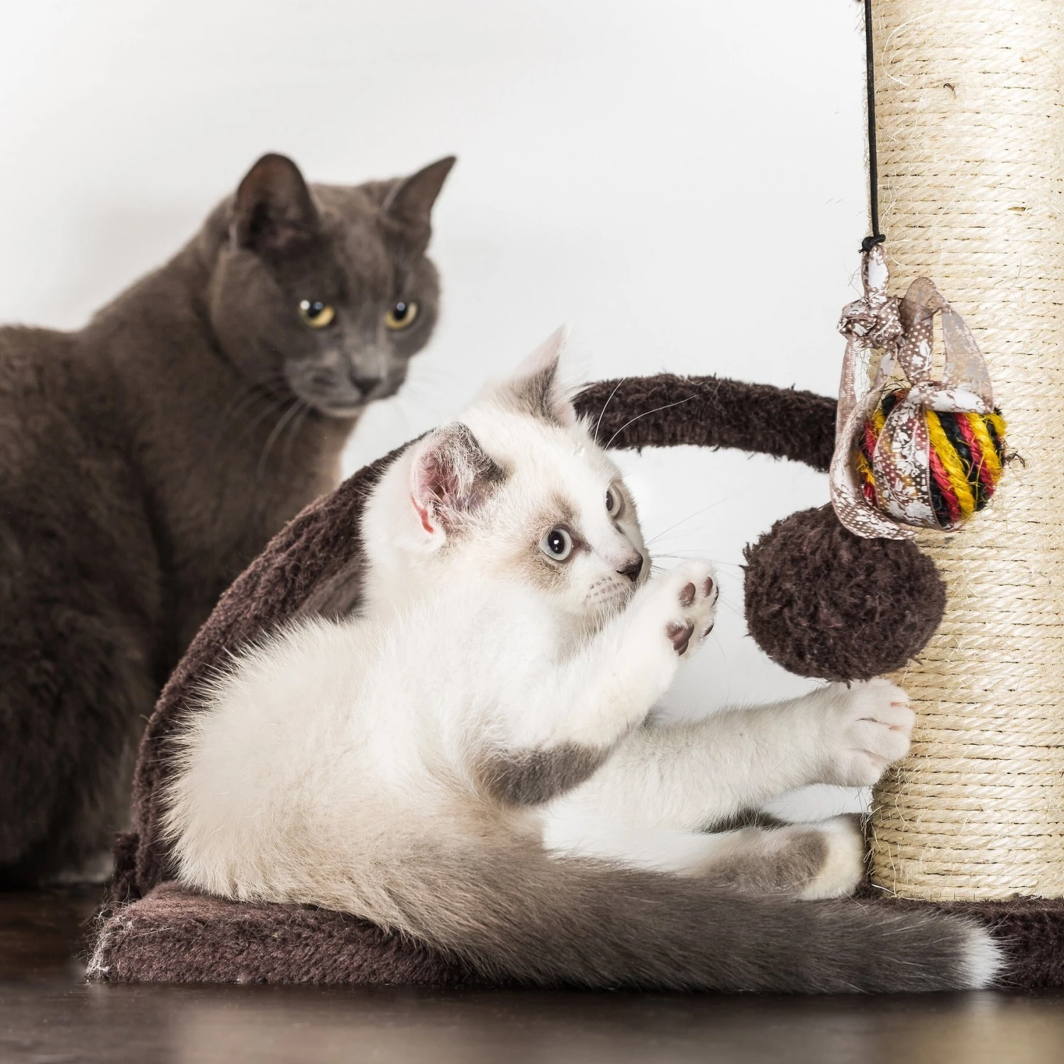 Pet Adobe 5-Tier 58.5-in Cat Tree & Condo 8 Pet Adobe 5-Tier 58.5-in Cat Tree & Condo - Image 6