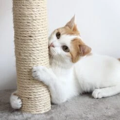 Pet Adobe Multi-Level 37.5-in Cat Tree & Condo -Cat Supplies 315008 PT5. AC SS1800 V1626396390