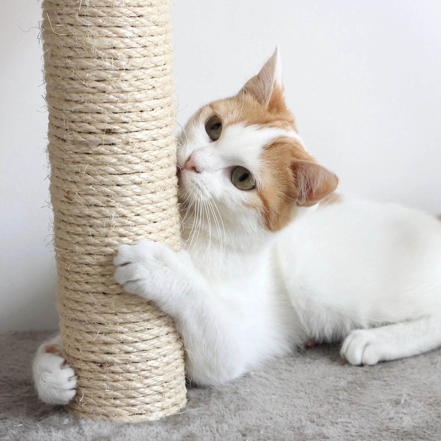 Pet Adobe Multi-Level 66.3-in Cat Tree & Condo 6 Pet Adobe Multi-Level 66.3-in Cat Tree & Condo - Image 4