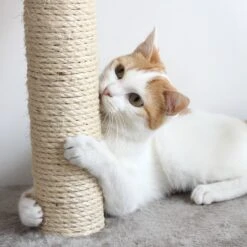 Pet Adobe Multi-Level 50.25-in Cat Tree -Cat Supplies 315021 PT4. AC SS1800 V1626398204