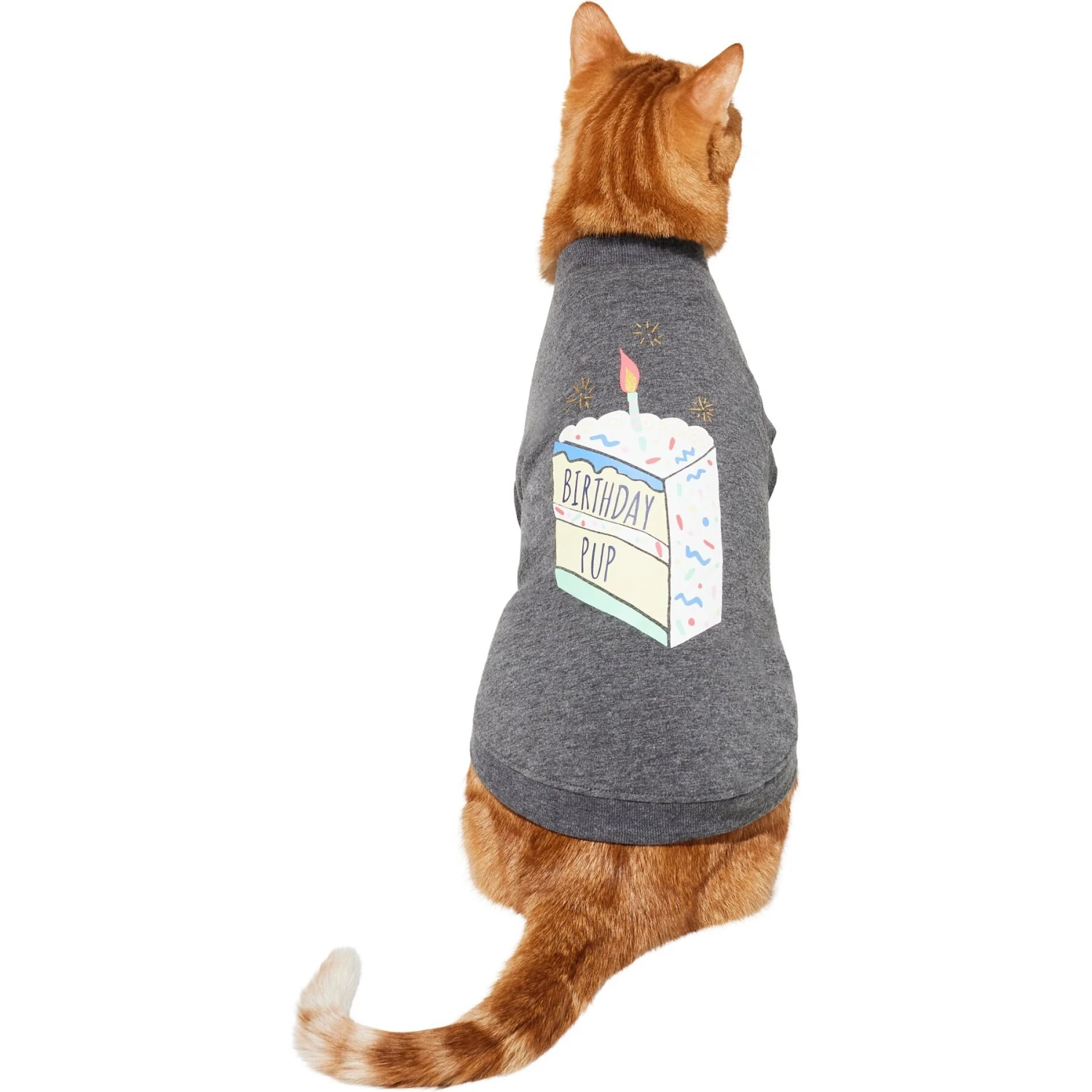 Frisco Birthday Pup Dog & Cat T-Shirt 5 Frisco Birthday Pup Dog & Cat T-Shirt - Image 3