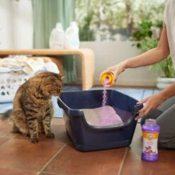 ARM & HAMMER PRODUCTS Calming Lavender & Vanilla Scent Cat Litter Box Deodorizing Crystals -Cat Supplies 315802 PT4. AC SS1800 V1680789562