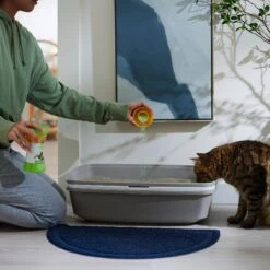 ARM & HAMMER PRODUCTS Stimulating Rosemary & Mint Scent Cat Litter Box Deodorizing Crystals -Cat Supplies 315806 PT4. AC SS1800 V1680789562