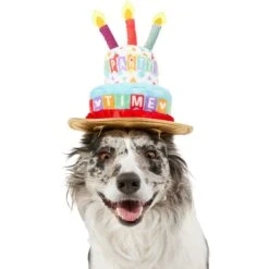 Disney Mickey Mouse Birthday Dog & Cat Hat -Cat Supplies 316077 PT2. AC SS1800 V1646176394