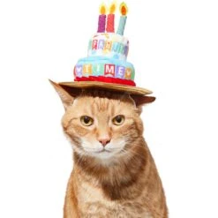 Disney Mickey Mouse Birthday Dog & Cat Hat -Cat Supplies 316077 PT3. AC SS1800 V1646181348