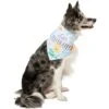 Disney Winnie The Pooh Birthday Dog & Cat Bandana -Cat Supplies 316080 MAIN. AC SS1800 V1646176432