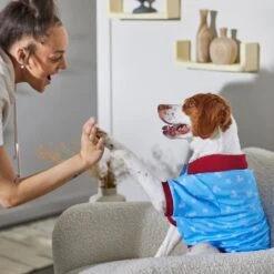 Disney Mickey Mouse Americana Dog & Cat Polo -Cat Supplies 316084 PT8. AC SS1800 V1646176970