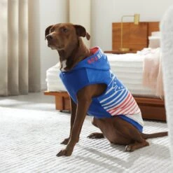 STAR WARS MAY THE 4TH Dog & Cat Hoodie -Cat Supplies 316112 PT8. AC SS1800 V1646176600