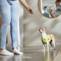 STAR WARS THE MANDALORIAN GROGU Lightweight Dog & Cat Fleece Vest 13 STAR WARS THE MANDALORIAN GROGU Lightweight Dog & Cat Fleece Vest -Cat Supplies 316119 PT8. AC SS1800 V1646179025