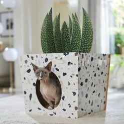 Frisco Potted Succulent Cardboard Cat House 12 Frisco Potted Succulent Cardboard Cat House -Cat Supplies 317723 PT4. AC SS1800 V1688677260