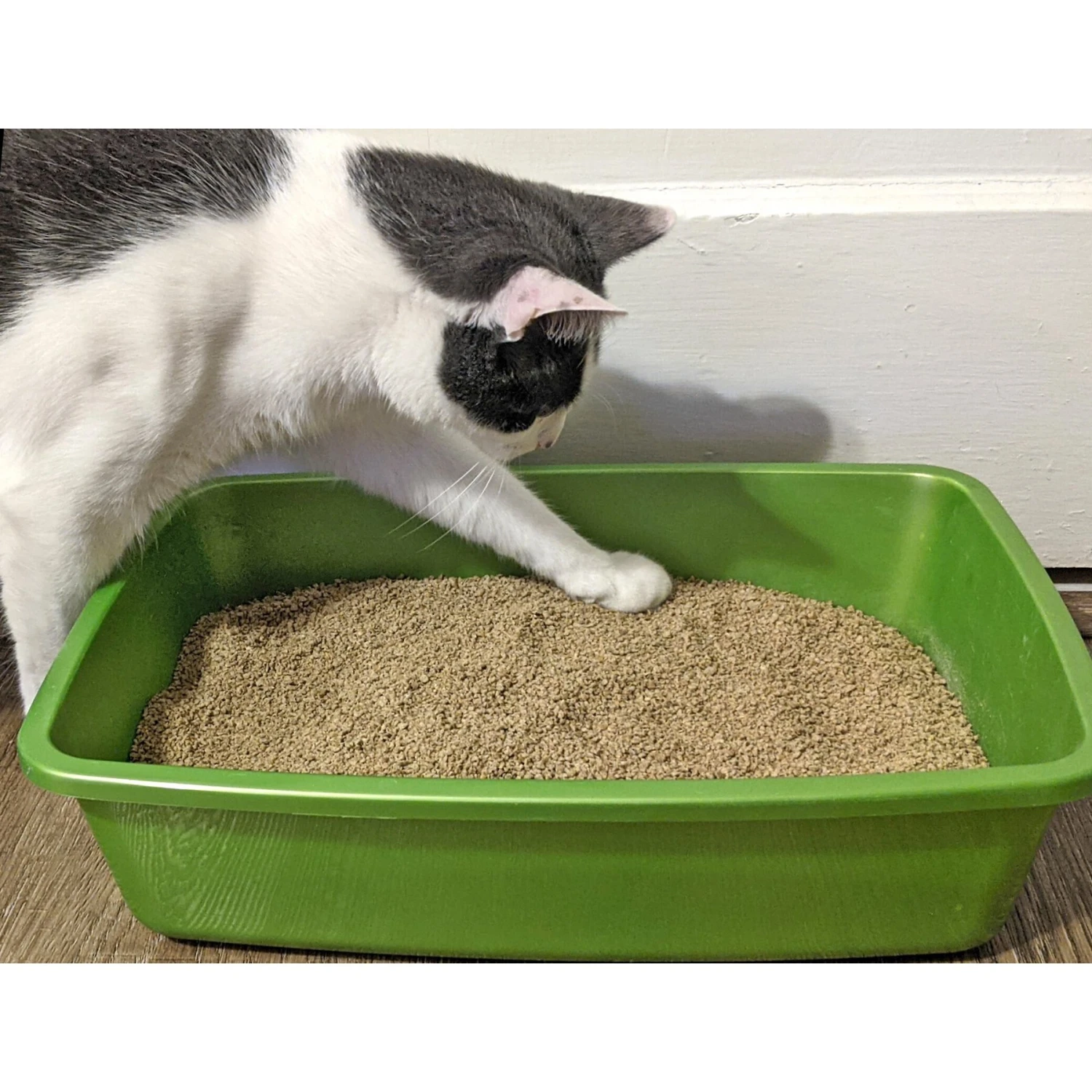 Dr. Bales One Source Clumping Cat Litter 8 Dr. Bales One Source Clumping Cat Litter - Image 6