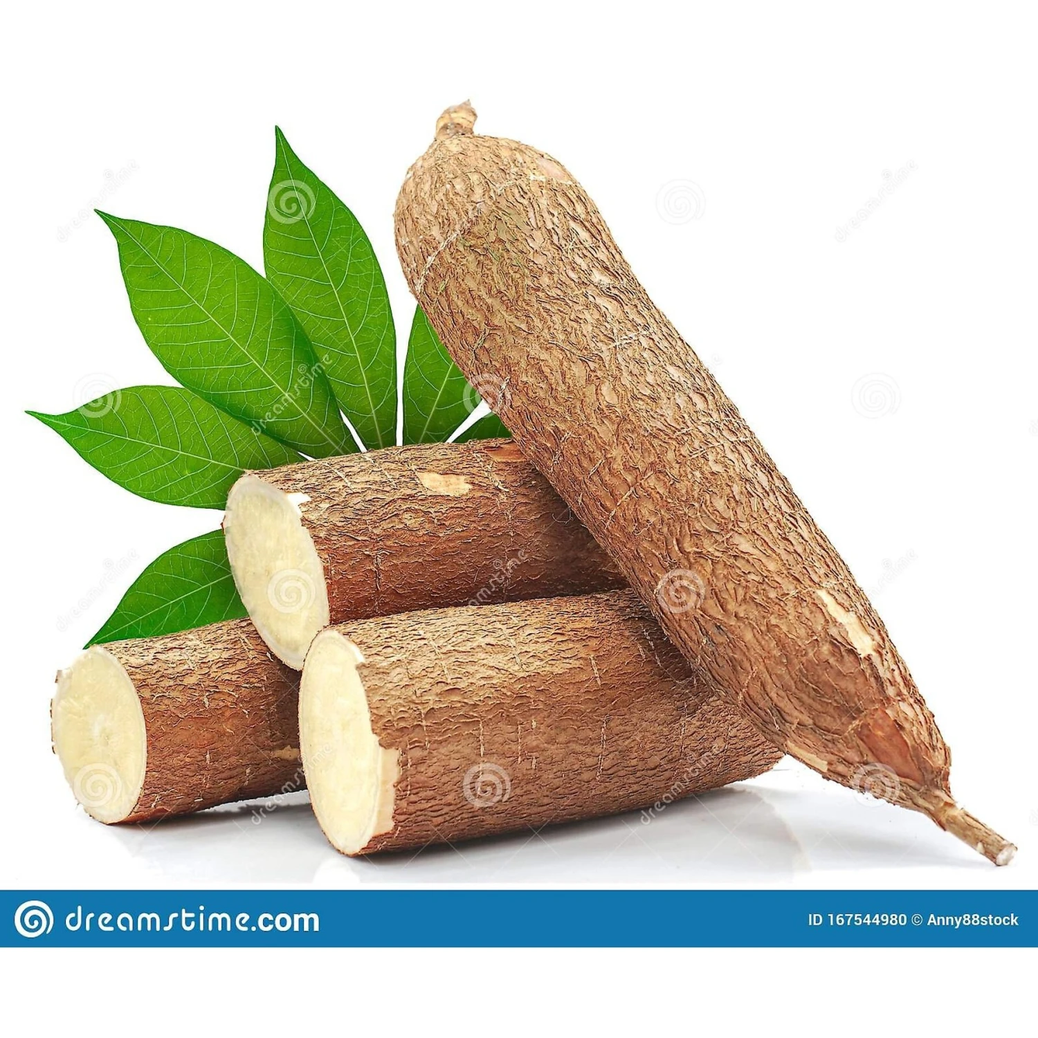 Dr. Bales One Source Clumping Cat Litter 11 Dr. Bales One Source Clumping Cat Litter - Image 9