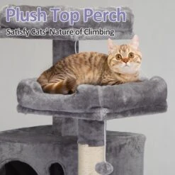 Coziwow By Jaxpety 58-in Cat Tree & Condo With Hammock, Grey 16 Coziwow By Jaxpety 58-in Cat Tree & Condo With Hammock, Grey -Cat Supplies 330952 PT5. AC SS1800 V1663605043