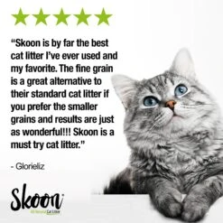 Skoon All Natural Fine-Grain Unscented Non-Clumping Cat Litter -Cat Supplies 333931 PT6. AC SS1800 V1633464812