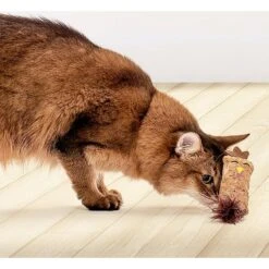 Litterbox.com Cork Chicken Cat Toy 7 Litterbox.com Cork Chicken Cat Toy -Cat Supplies 334220 PT2. AC SS1800 V1648614384