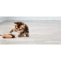 Litterbox.com Cork Pig Cat Toy 9 Litterbox.com Cork Pig Cat Toy -Cat Supplies 334224 PT3. AC SS1800 V1633637784