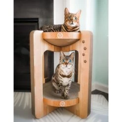 Necoichi Cozy Cat Scratcher Tower Toy 17 Necoichi Cozy Cat Scratcher Tower Toy -Cat Supplies 336322 PT6. AC SS1800 V1674730088
