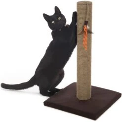 SmartyKat Simply Scratch Jute Cat Scratch Post With Feather Cat Toy -Cat Supplies 336397 PT4. AC SS1800 V1634309564