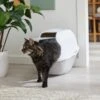 Frisco Modern Hooded Cat Litter Box 2 Frisco Modern Hooded Cat Litter Box -Cat Supplies 341985 MAIN. AC SS1800 V1642605052
