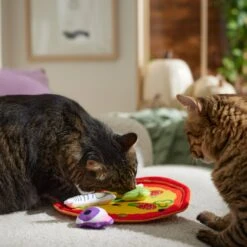 Frisco Halloween Spooky Pizza Interactive Plush Cat Toy With Catnip -Cat Supplies 344066 PT3. AC SS1800 V1657657031