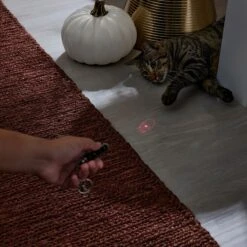 Frisco Halloween Skull Laser Cat Toy 10 Frisco Halloween Skull Laser Cat Toy -Cat Supplies 344068 PT3. AC SS1800 V1659279988