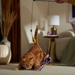 Disney Villains Evil Queen Interchangeable Teaser Wand Cat Toy With Catnip -Cat Supplies 344521 PT3. AC SS1800 V1657657087