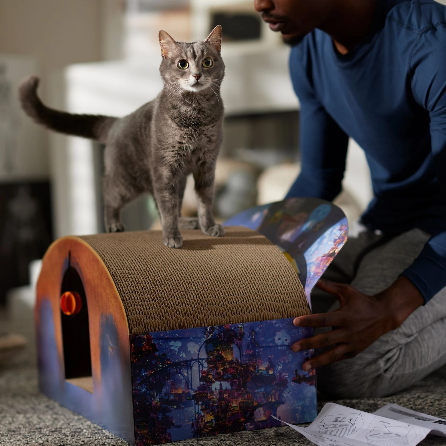 Pixar Coco Marigold Bridge Scratcher Cat Toy 6 Pixar Coco Marigold Bridge Scratcher Cat Toy - Image 4