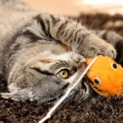 Pet Adobe Foldable Cat Activity Center 12 Pet Adobe Foldable Cat Activity Center -Cat Supplies 345044 PT4. AC SS1800 V1637282815