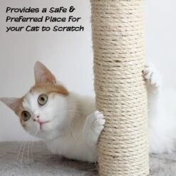 Pet Adobe Interactive 19-in Sisal Cat Scratching Post 14 Pet Adobe Interactive 19-in Sisal Cat Scratching Post -Cat Supplies 345048 PT4. AC SS1800 V1637285266