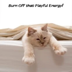 Pet Adobe Interactive 19-in Sisal Cat Scratching Post 15 Pet Adobe Interactive 19-in Sisal Cat Scratching Post -Cat Supplies 345048 PT5. AC SS1800 V1637282265