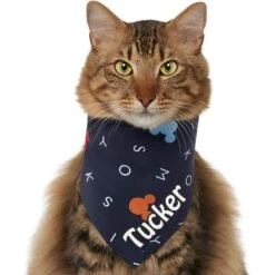 Disney "M-I-C-K-E-Y M-O-U-S-E" Personalized Dog & Cat Bandana 12 Disney "M-I-C-K-E-Y M-O-U-S-E" Personalized Dog & Cat Bandana -Cat Supplies 346374 PT2. AC SS1800 V1671228217