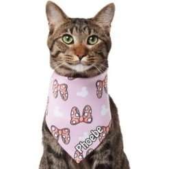 Disney Minnie Mouse Bows Personalized Dog & Cat Bandana 12 Disney Minnie Mouse Bows Personalized Dog & Cat Bandana -Cat Supplies 346378 PT2. AC SS1800 V1671228160