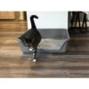 Shirley K's Senior Cat Litter Box, X-Large -Cat Supplies 347408 MAIN. AC SS1800 V1642013797