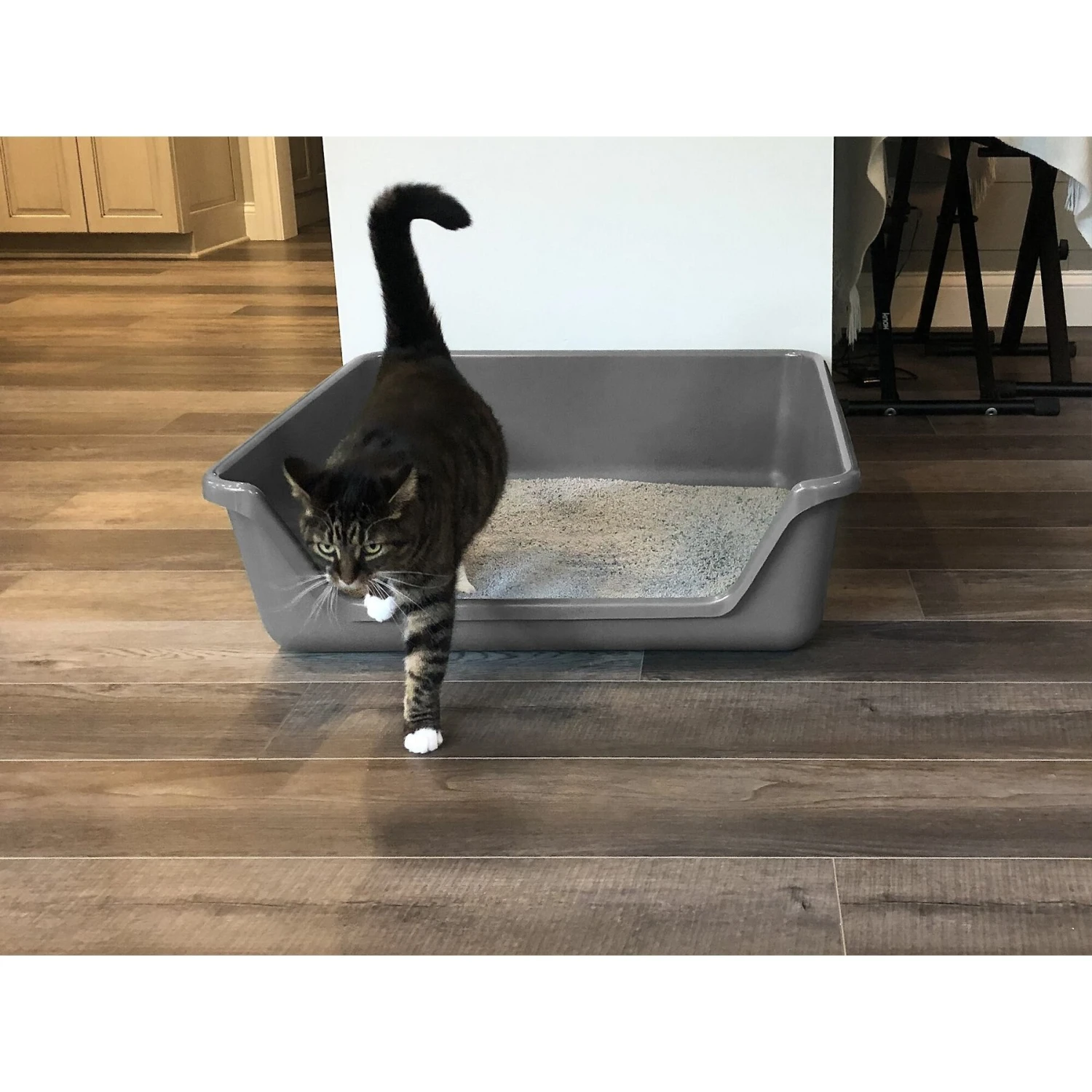 Shirley K's Senior Cat Litter Box, X-Large 3 Shirley K's Senior Cat Litter Box, X-Large