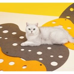 ZEZE "The Cheese" Adjustable Tunnel Cat Toy 14 ZEZE "The Cheese" Adjustable Tunnel Cat Toy -Cat Supplies 347443 PT5. AC SS1800 V1657657091