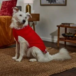 Frisco Plaid Cable Knit Dog & Cat Sweater -Cat Supplies 353611 PT7. AC SS1800 V1660749926