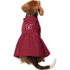 Frisco Sleepy Face Dog & Cat Dress -Cat Supplies 353657 PT2. AC SS1800 V1659008189