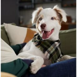 Frisco Plaid Fringe Dog & Cat Bandana 16 Frisco Plaid Fringe Dog & Cat Bandana -Cat Supplies 353769 PT6. AC SS1800 V1660749811