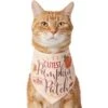 Frisco Cutest Pumpkin In The Patch Dog & Cat Bandana -Cat Supplies 353777 MAIN. AC SS1800 V1659010811