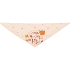 Frisco Cutest Pumpkin In The Patch Dog & Cat Bandana -Cat Supplies 353777 PT5. AC SS1800 V1659725687