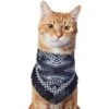 Frisco Southwest Fringe Dog & Cat Bandana 2 Frisco Southwest Fringe Dog & Cat Bandana -Cat Supplies 353783 MAIN. AC SS1800 V1659010876