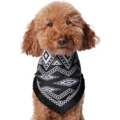 Frisco Southwest Fringe Dog & Cat Bandana -Cat Supplies 353783 PT2. AC SS1800 V1659007315