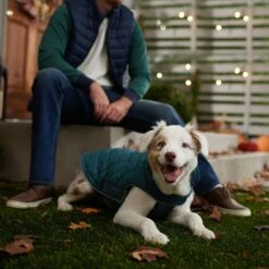 Frisco Mediumweight Reversible Dog & Cat Coat 16 Frisco Mediumweight Reversible Dog & Cat Coat -Cat Supplies 353932 PT7. AC SS1800 V1660749442