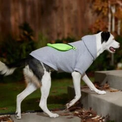 Frisco Dog & Cat Hoodie With Removable Fanny Pack 18 Frisco Dog & Cat Hoodie With Removable Fanny Pack -Cat Supplies 353965 PT7. AC SS1800 V1660749475