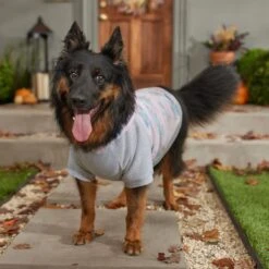 Frisco Pink Tie Dye Dog & Cat Hoodie 16 Frisco Pink Tie Dye Dog & Cat Hoodie -Cat Supplies 353981 PT7. AC SS1800 V1660749835