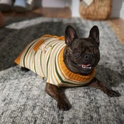 Disney Winnie The Pooh Dog & Cat Faux Cardigan -Cat Supplies 354036 PT7. AC SS1800 V1660749564