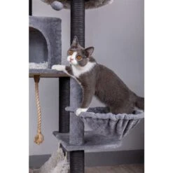 Catry Interactive 7-Level Cat Tree With Condo, Scratching Posts, & Toys 14 Catry Interactive 7-Level Cat Tree With Condo, Scratching Posts, & Toys -Cat Supplies 354554 PT3. AC SS1800 V1640317068